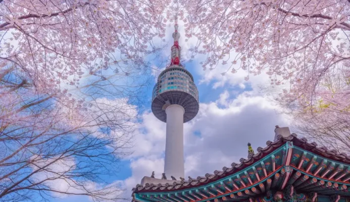 Phong cảnh khi du học hàn quốc cùng ap group