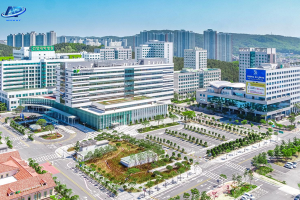 Lịch sử hình thành Đại học Konyang